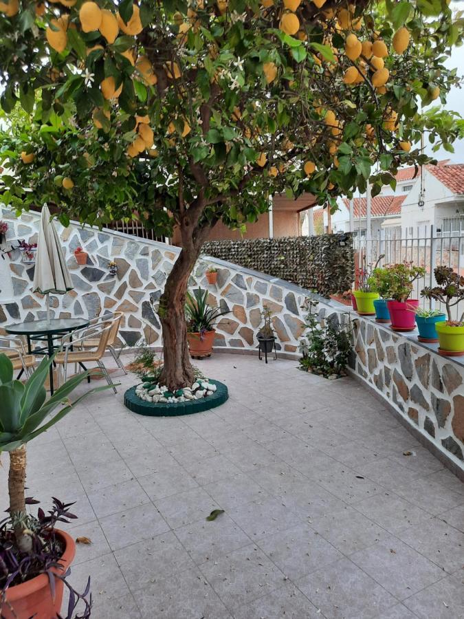 Calle Dr Fleming 3 Bedroom Home سان خافيير المظهر الخارجي الصورة